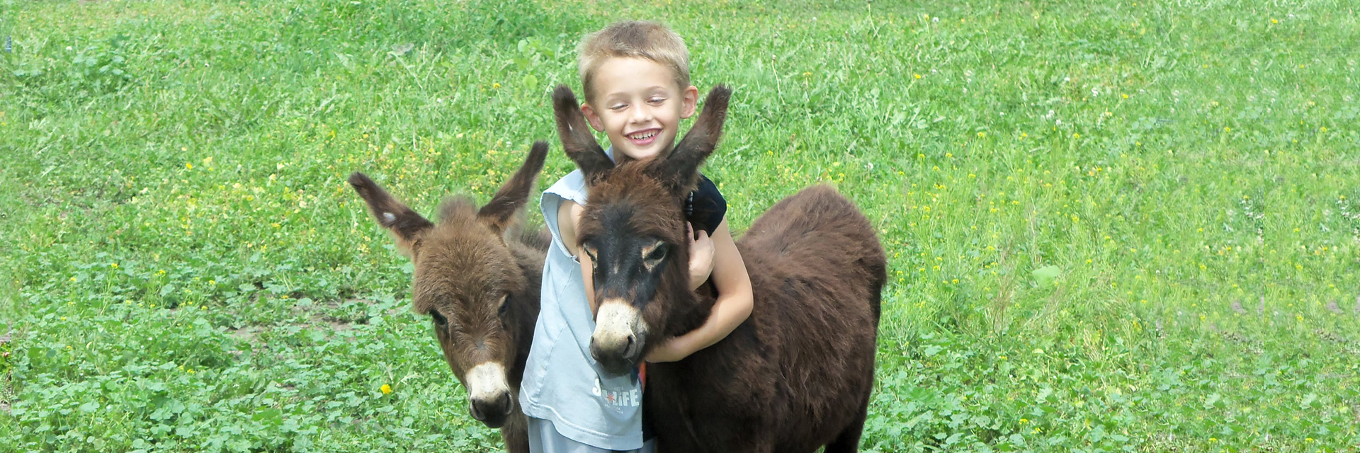 Storylandminiaturedonkeys.com