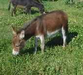 DSCN2006__2_.JPG